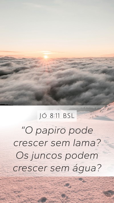 Jó 8:11 BSL Bible Verse Image