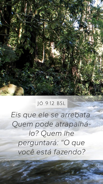 Jó 9:12 BSL Bible Verse Image