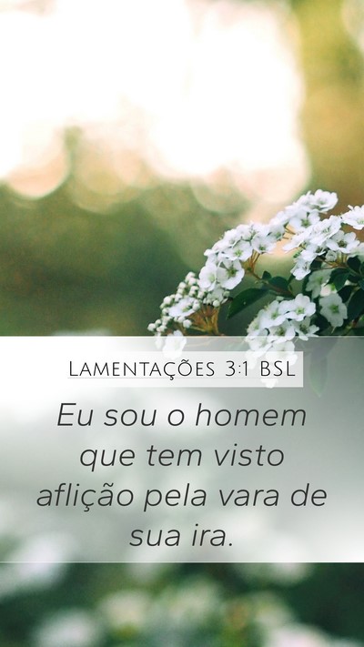 Lamentações 3:1 BSL Mobile Phone Wallpaper - Eu sou o homem que tem visto aflição pela vara - Mobile Bible Verse Wallpaper