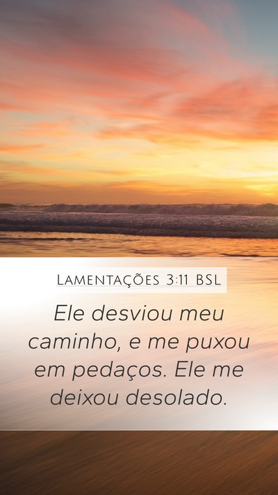 Lamentações 3:11 BSL Bible Verse Image