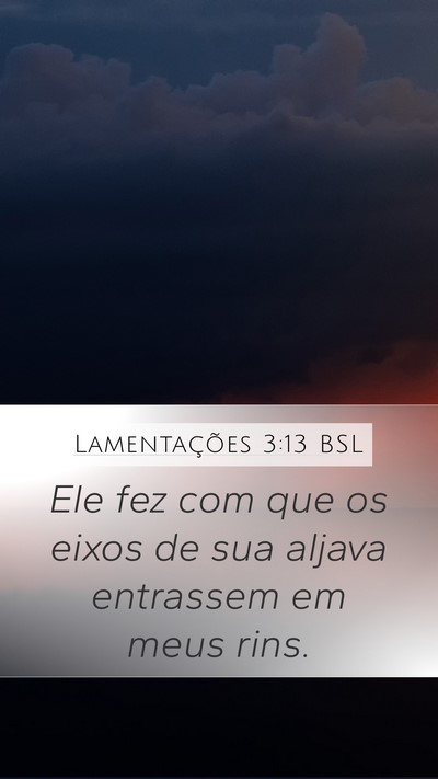 Lamentações 3:13 BSL Bible Verse Image