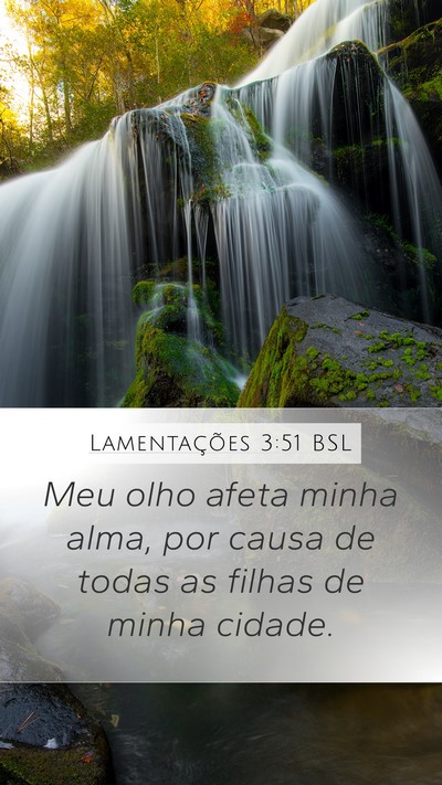 Lamentações 3:51 BSL Bible Verse Image