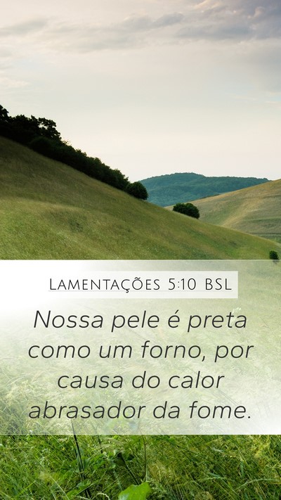 Lamentações 5:10 BSL Bible Verse Image