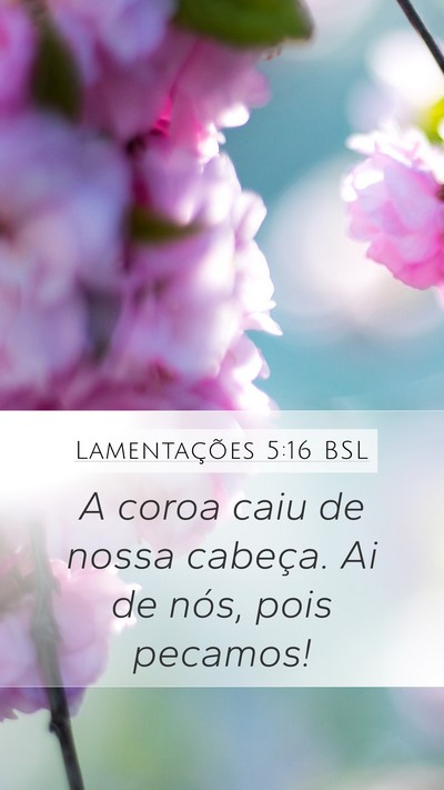 Lamentações 5:16 BSL Bible Verse Image