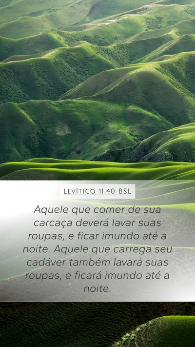 Levítico 11:40 BSL Bible Verse Image