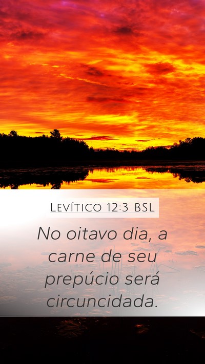 Levítico 12:3 BSL Bible Verse Image
