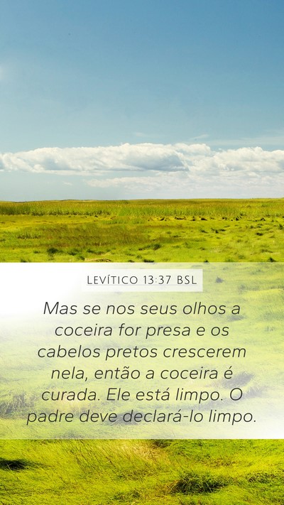 Levítico 13:37 BSL Mobile Phone Wallpaper - Mas se nos seus olhos a coceira for presa e os - Mobile Bible Verse Wallpaper