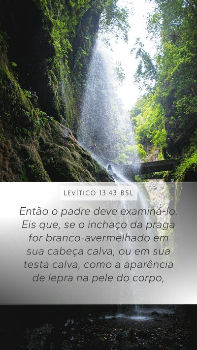 Levítico 13:43 BSL Bible Verse Image