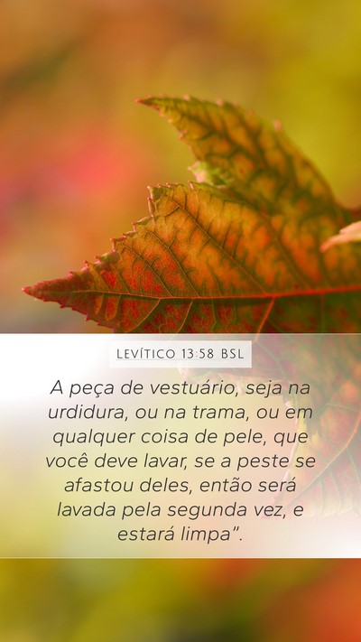 Levítico 13:58 BSL Mobile Phone Wallpaper - A peça de vestuário, seja na urdidura, ou na - Mobile Bible Verse Wallpaper