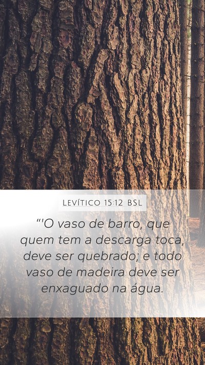 Levítico 15:12 BSL Bible Verse Image