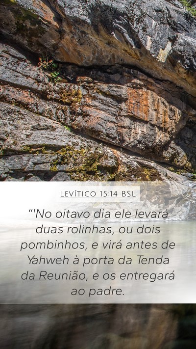 Levítico 15:14 BSL Bible Verse Image