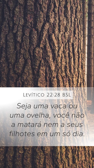 Levítico 22:28 BSL Bible Verse Image