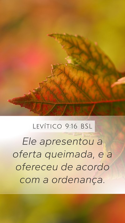 Levítico 9:16 BSL Mobile Phone Wallpaper - Ele apresentou a oferta queimada, e a ofereceu de - Mobile Bible Verse Wallpaper