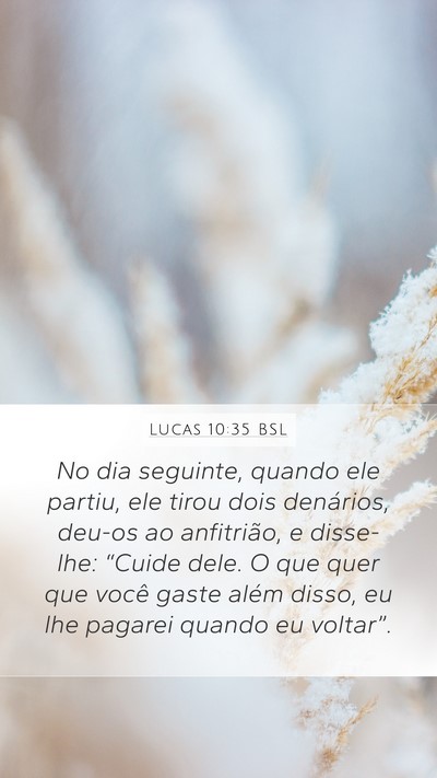 Lucas 10:35 BSL Bible Verse Image