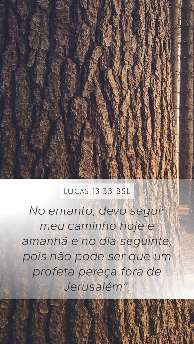 Lucas 13:33 BSL Bible Verse Image