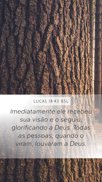 Lucas 18:43 BSL Bible Verse Image