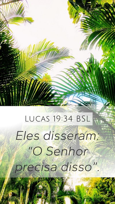 Lucas 19:34 BSL Bible Verse Image