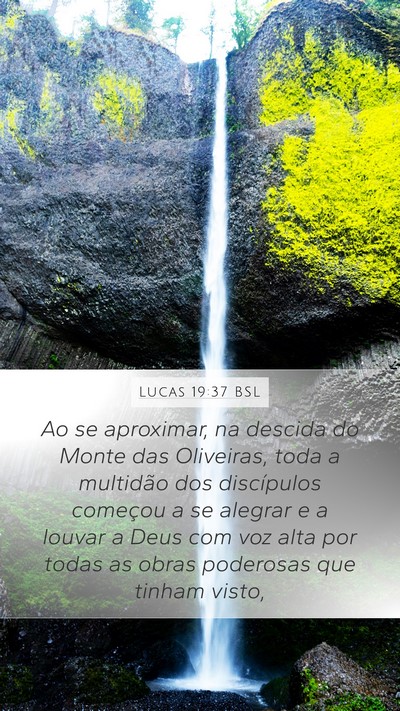 Lucas 19:37 BSL Bible Verse Image