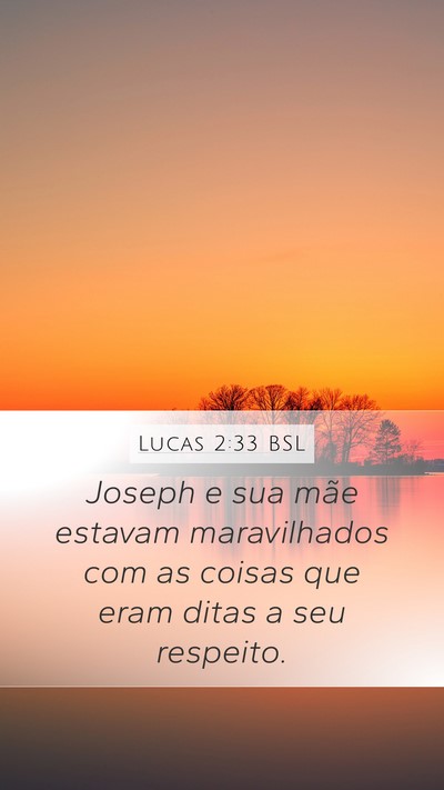 Lucas 2:33 BSL Bible Verse Image