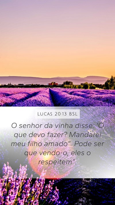 Lucas 20:13 BSL Bible Verse Image