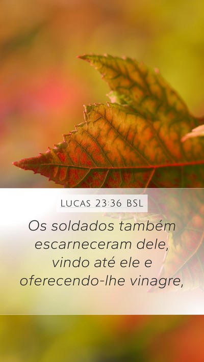 Lucas 23:36 BSL Bible Verse Image