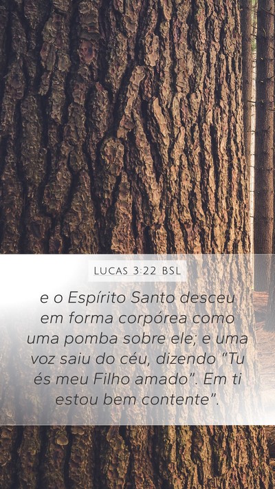 Lucas 3:22 BSL Bible Verse Image