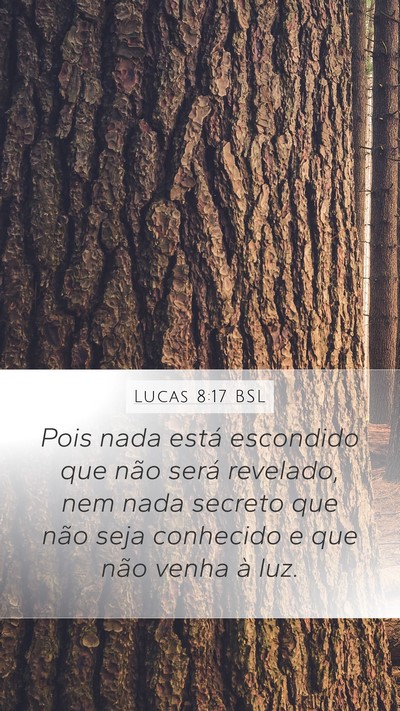 Lucas 8:17 BSL Bible Verse Image