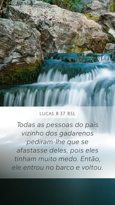 Lucas 8:37 BSL Bible Verse Image