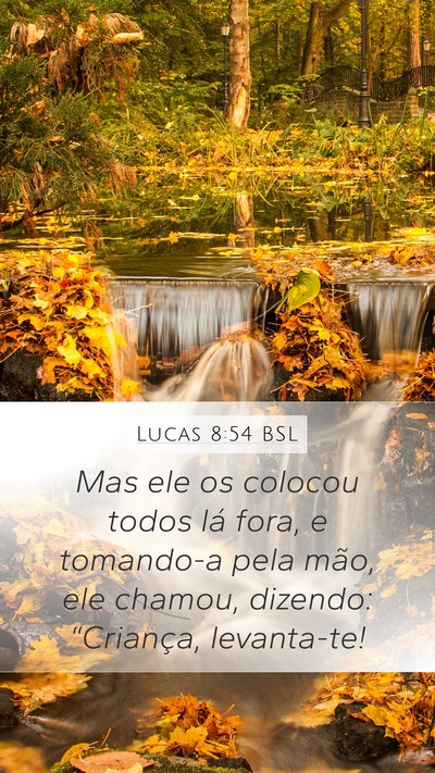 Lucas 8:54 BSL Bible Verse Image