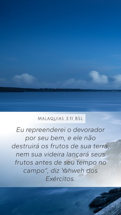 Malaquias 3:11 BSL Mobile Phone Wallpaper - Eu repreenderei o devorador por seu bem, e ele - Mobile Bible Verse Wallpaper