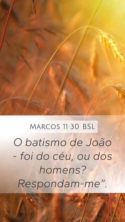 Marcos 11:30 BSL Mobile Phone Wallpaper - O batismo de João - foi do céu, ou dos homens? - Mobile Bible Verse Wallpaper