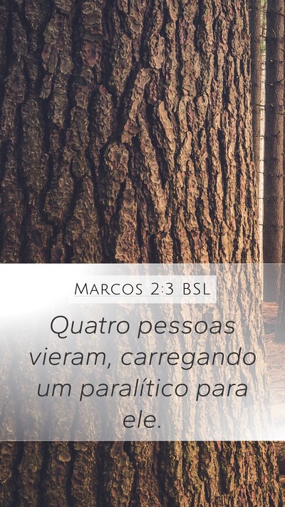 Marcos 2:3 BSL Bible Verse Image