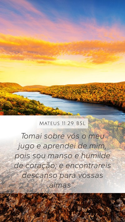 Mateus 11:29 BSL Bible Verse Image