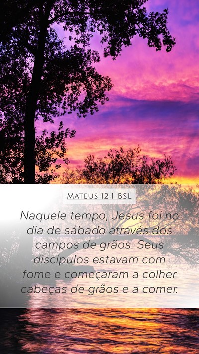 Mateus 12:1 BSL Bible Verse Image