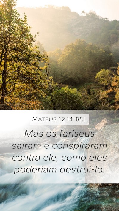Mateus 12:14 BSL Bible Verse Image
