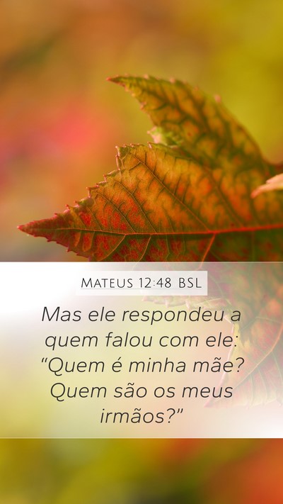 Mateus 12:48 BSL Bible Verse Image