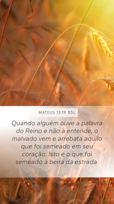 Mateus 13:19 BSL Bible Verse Image