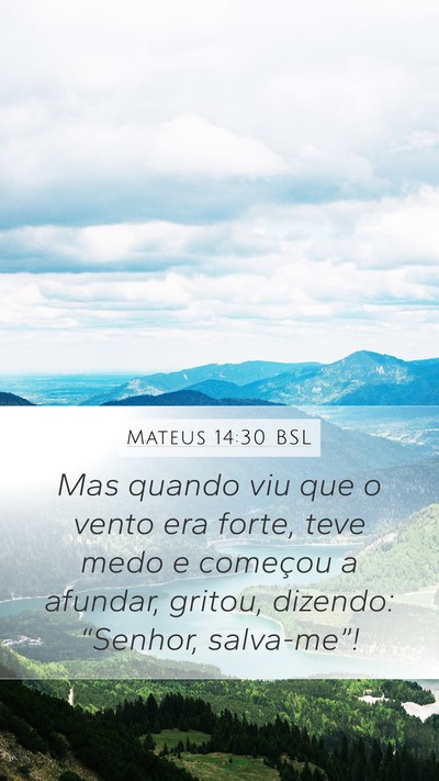 Mateus 14:30 BSL Bible Verse Image