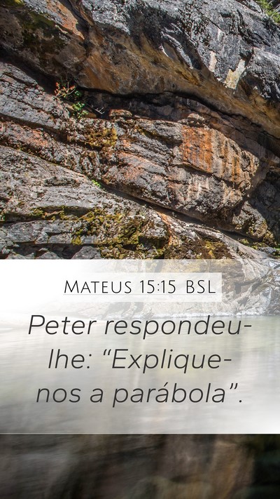 Mateus 15:15 BSL Bible Verse Image