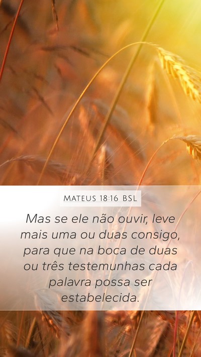 Mateus 18:16 BSL Bible Verse Image