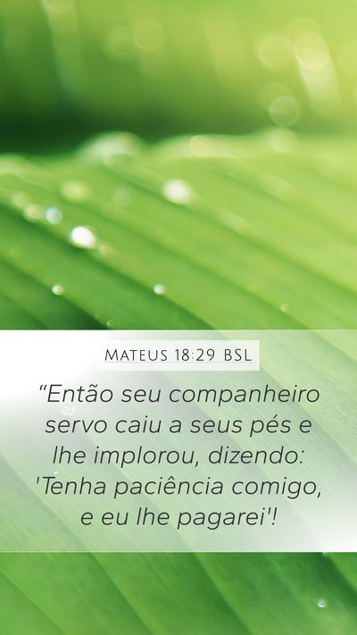 Mateus 18:29 BSL Bible Verse Image