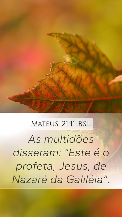 Mateus 21:11 BSL Bible Verse Image