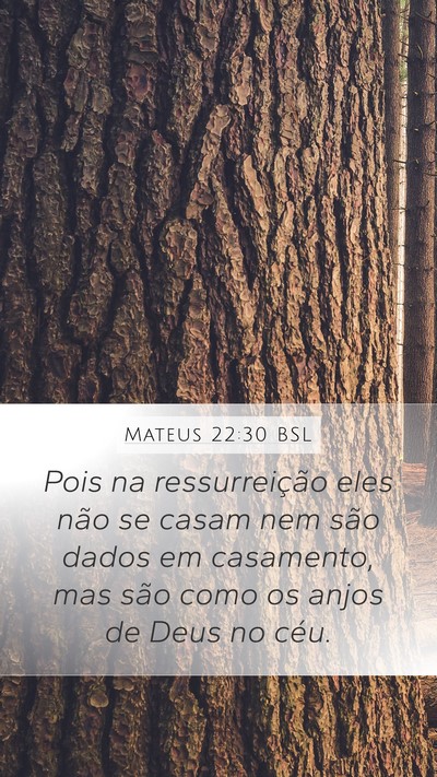 Mateus 22:30 BSL Bible Verse Image