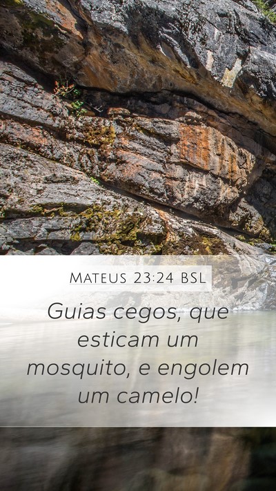 Mateus 23:24 BSL Bible Verse Image