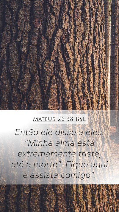 Mateus 26:38 BSL Bible Verse Image