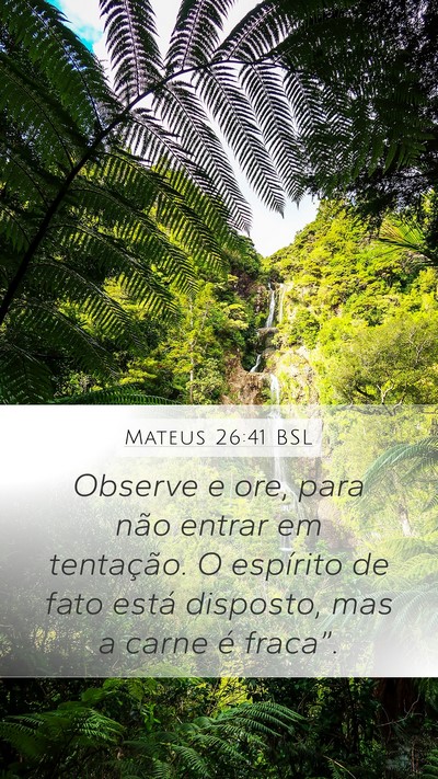 Mateus 26:41 BSL Bible Verse Image