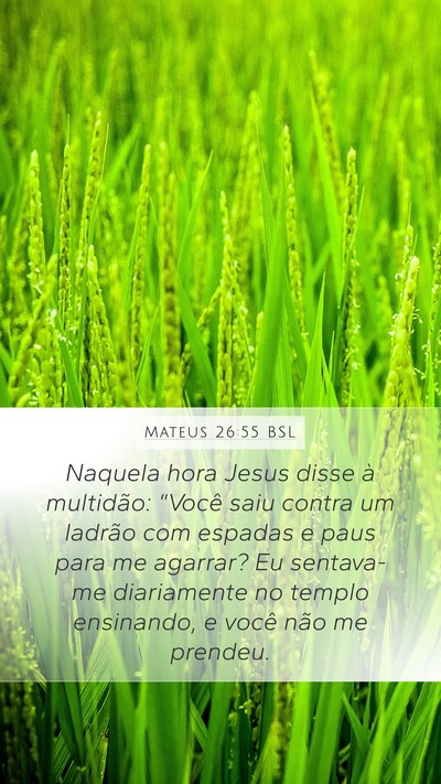 Mateus 26:55 BSL Bible Verse Image