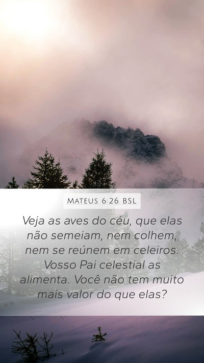 Mateus 6:26 BSL Bible Verse Image