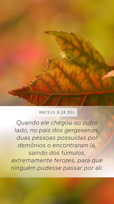 Mateus 8:28 BSL Bible Verse Image