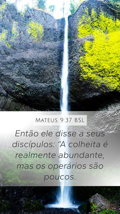 Mateus 9:37 BSL Bible Verse Image